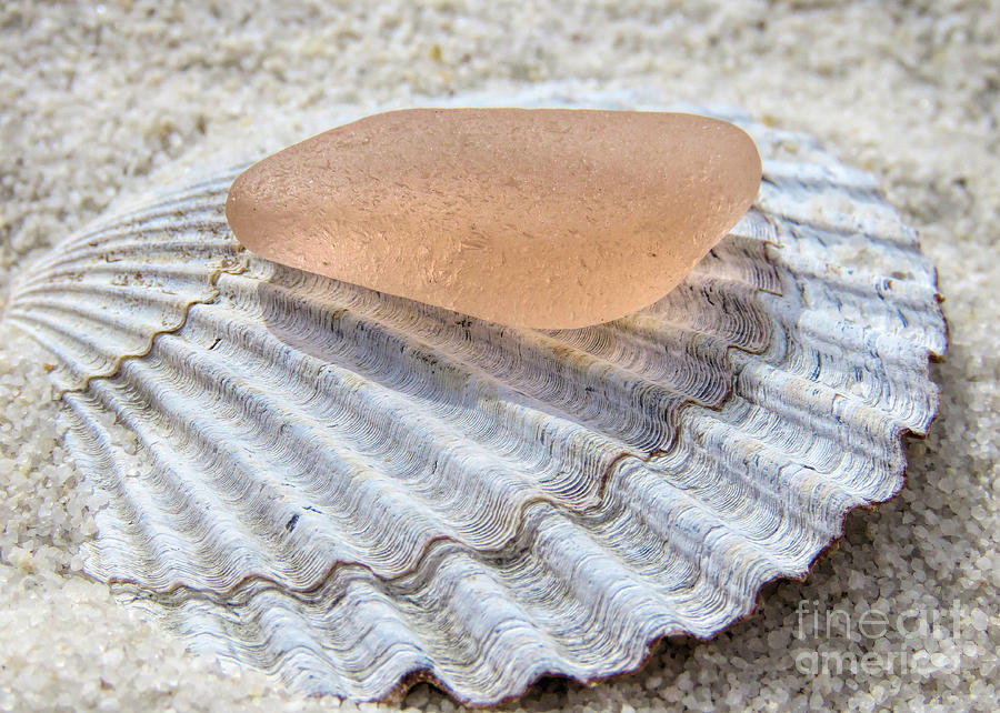 Sea Glass in Pink Blush  Photograph by Janice Drew