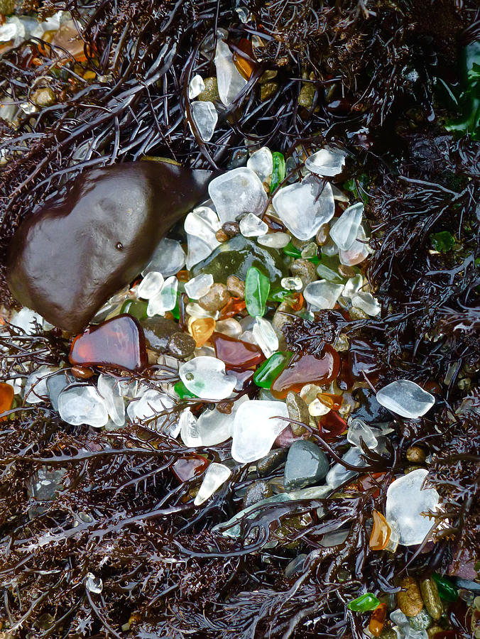 Sea Glass Nest Photograph by Amelia Racca