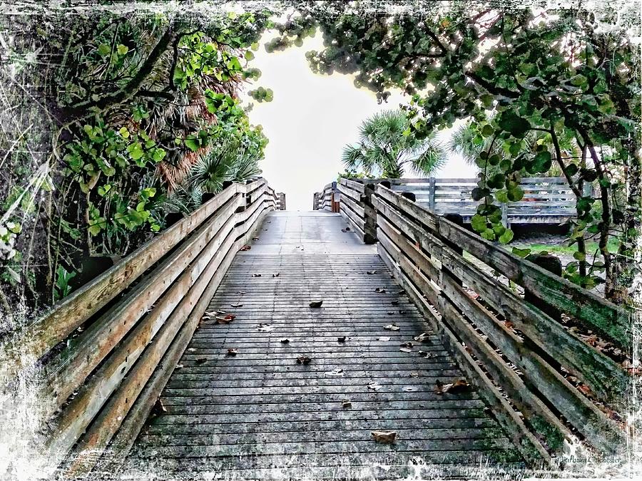 Sea Grape Boardwalk Painting by Barbara Chichester