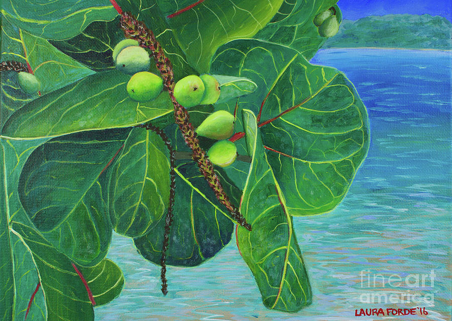 Sea Grapes Painting by Laura Forde