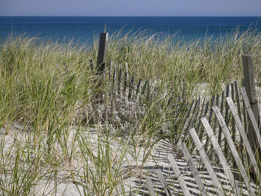 Sea Grass and Storm Fencing - Cape Cod Photograph by Betsy Cullen ...