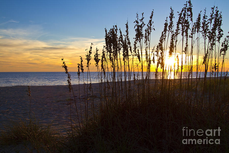 Sunset Photograph - Sea Grass on the Dunes at Sunset by ELITE IMAGE photography By Chad McDermott