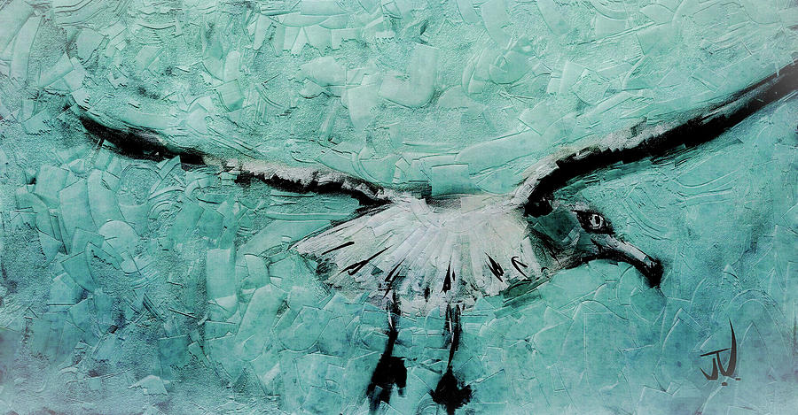 Sea Gull Digital Art by Jim Vance