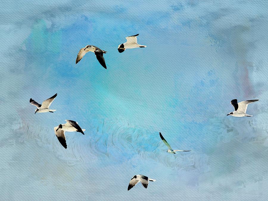 Sea Gulls in flight Photograph by Athala Bruckner