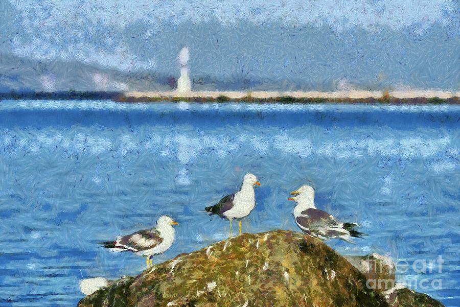 Sea Gulls On Rock Painting