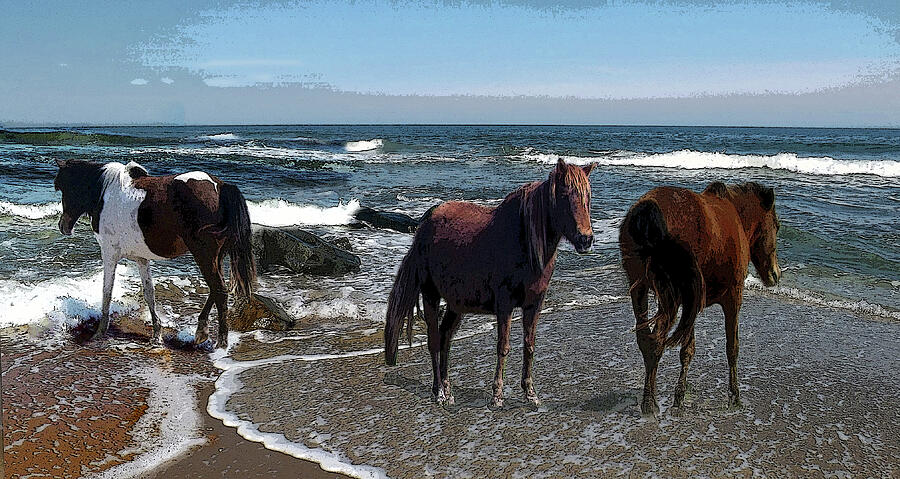 Sea Horses Digital Art by Joyce Wasser