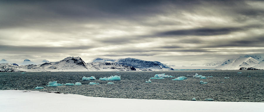 Sea Ice Panorama Photograph by James Billings