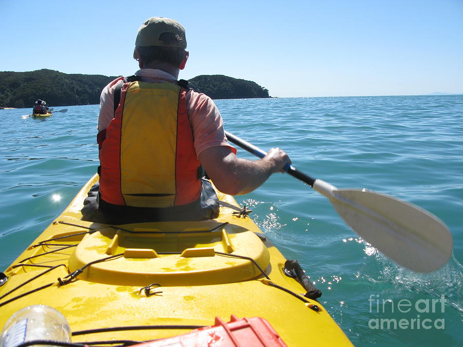 Sea kayaking in New Zealand Photograph by Patricia Hofmeester