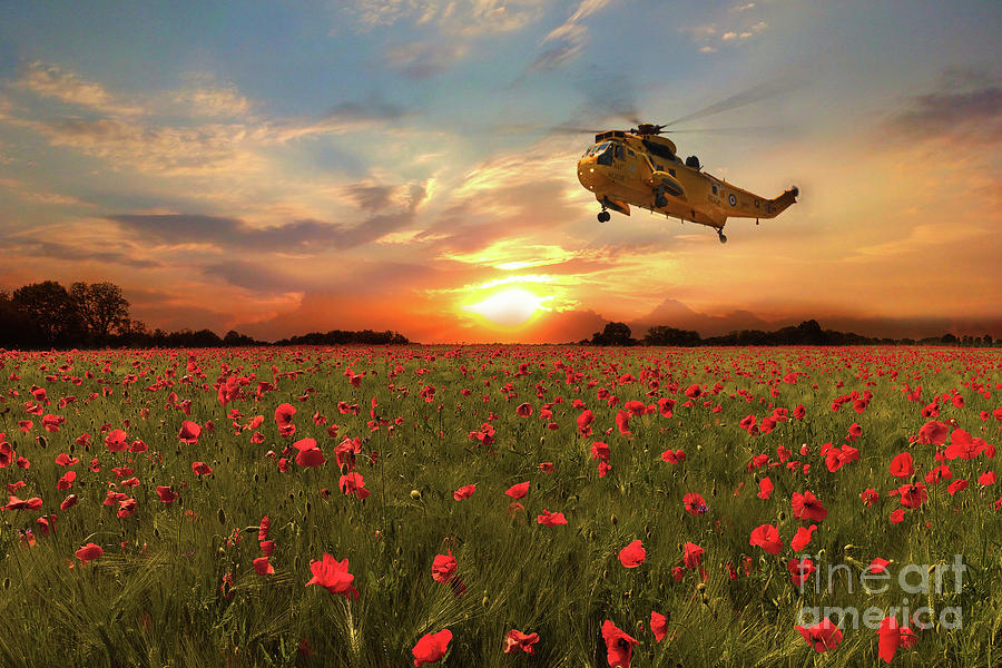 Sea King Tribute Digital Art by Airpower Art