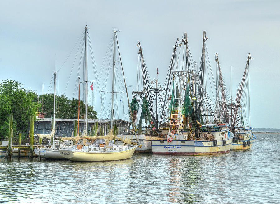 Sea Ladies Photograph by Blaine Owens Sea Ladies Photograph by Blaine Owens