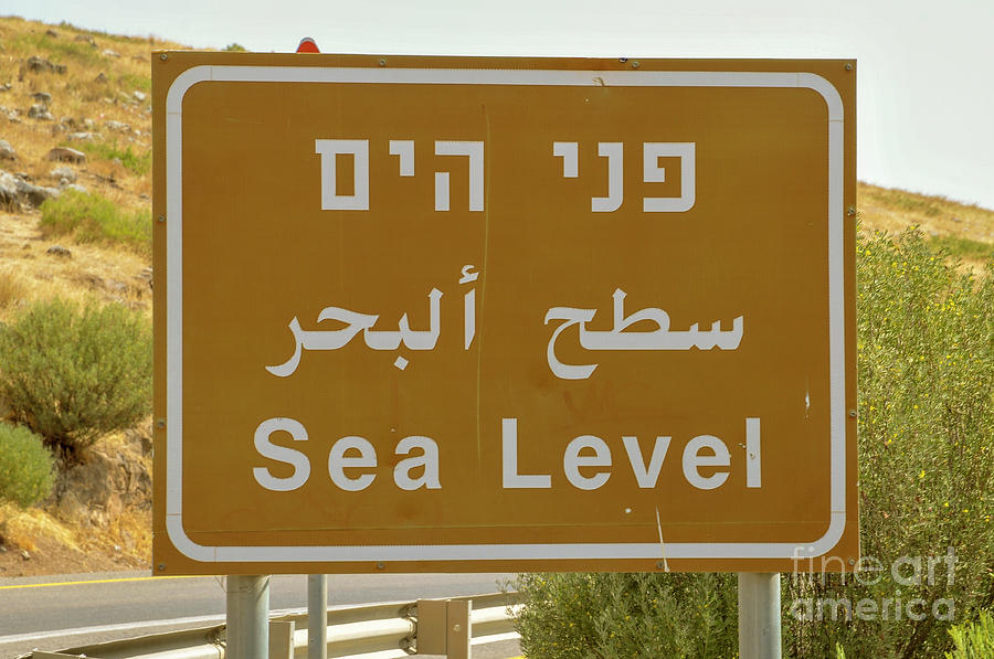 Sea Level sign 4 Photograph by Shay Levy