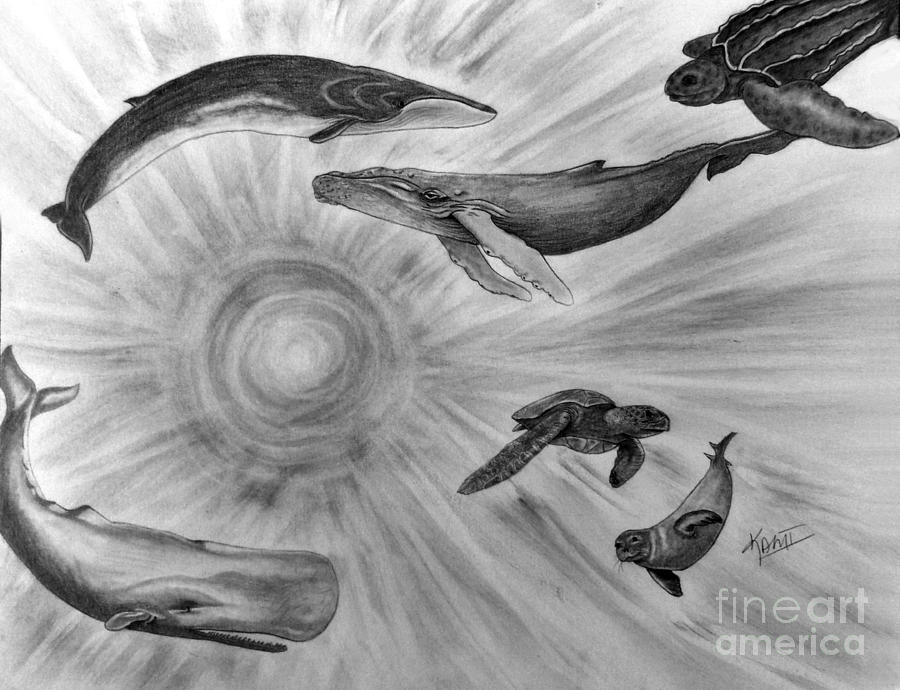 Sea Life by Kami Catherman Sea Life by Kami Catherman