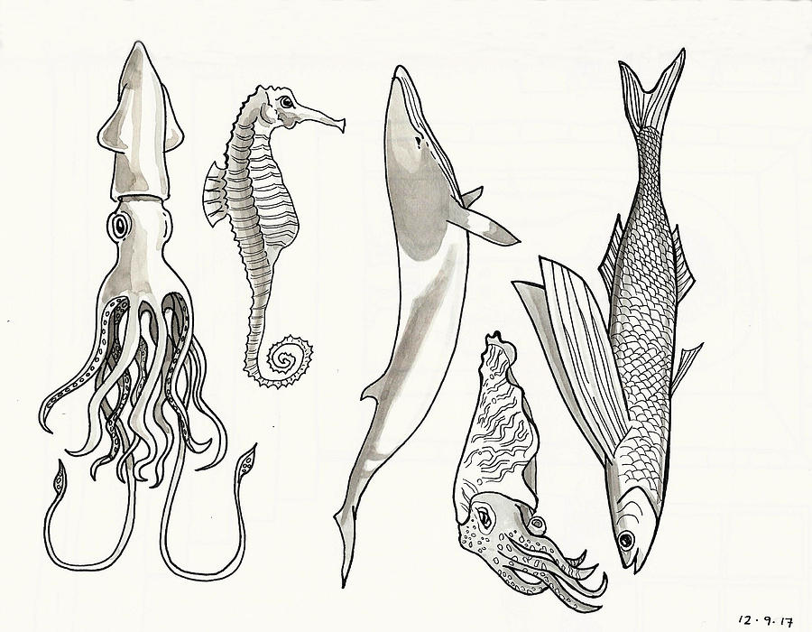 Sea life drawings tile decal - TenStickers