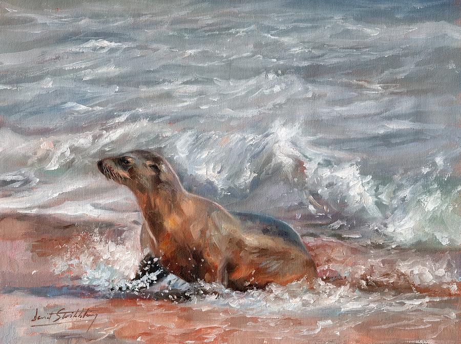 Sea Lion Painting by David Stribbling