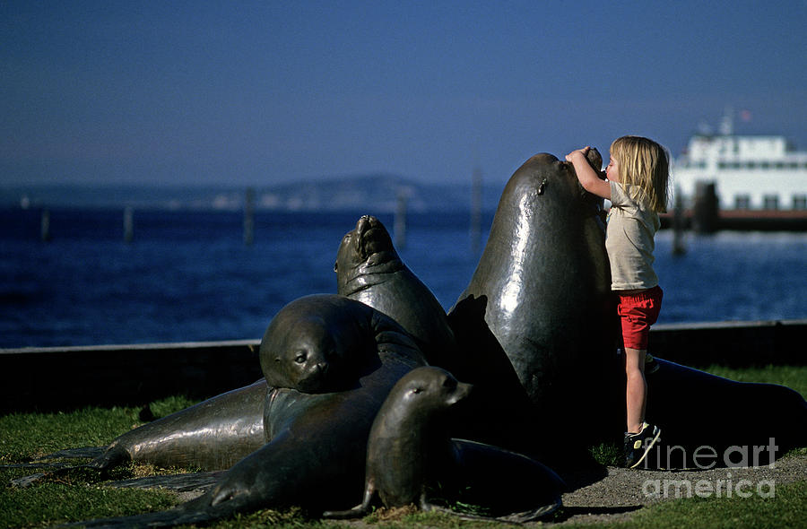 Sea Lion Sculpture  Photograph by Jim Corwin