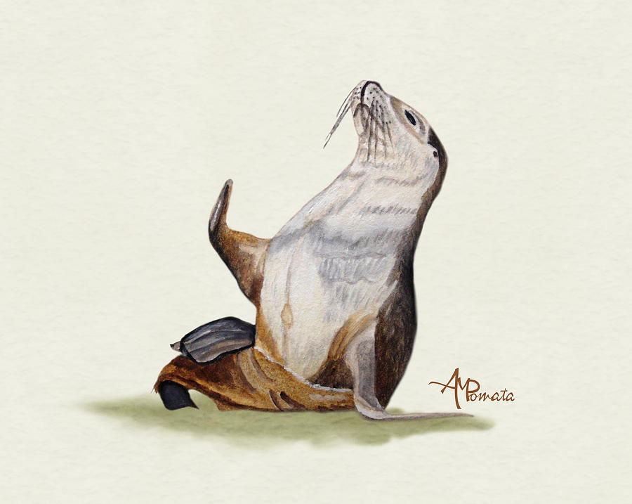 Sea Lion Watercolor II Painting by Angeles M Pomata