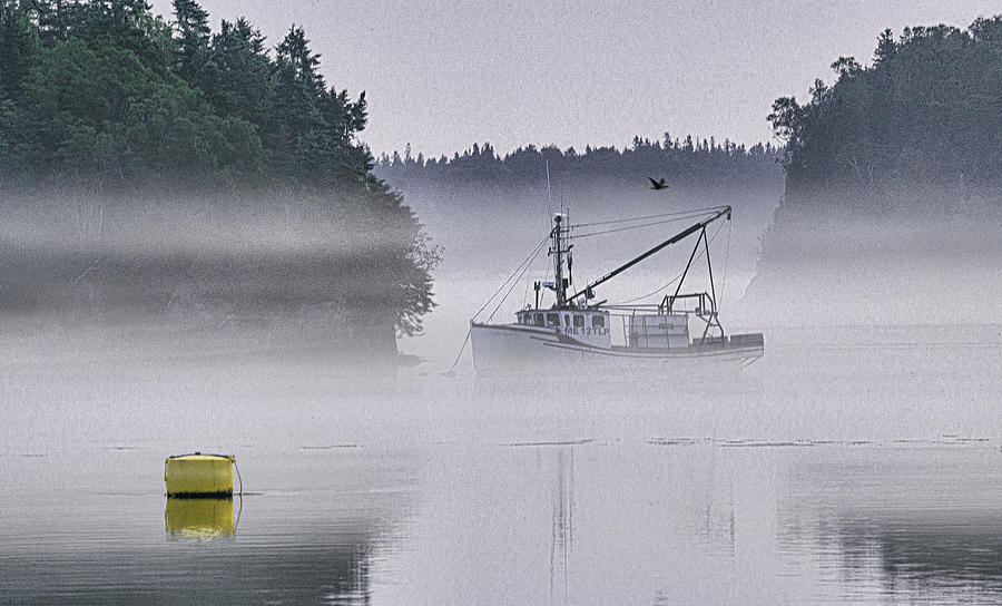 Sea Mist Morning Photograph by Marty Saccone