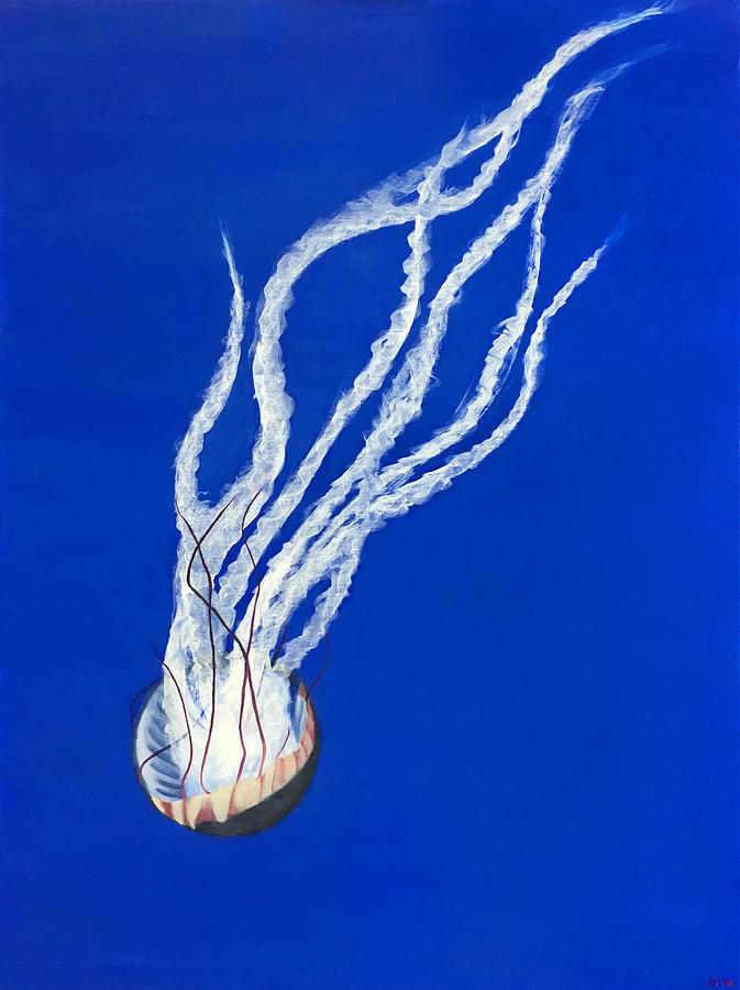 Fish Painting - Sea Nettle II by Elisenda Vila