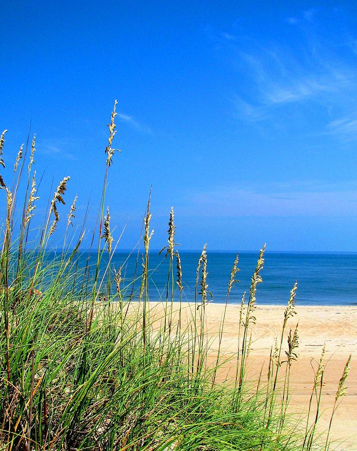 Sea Oats and Blue Skies At Avon Beach  Photograph by Angela Davies