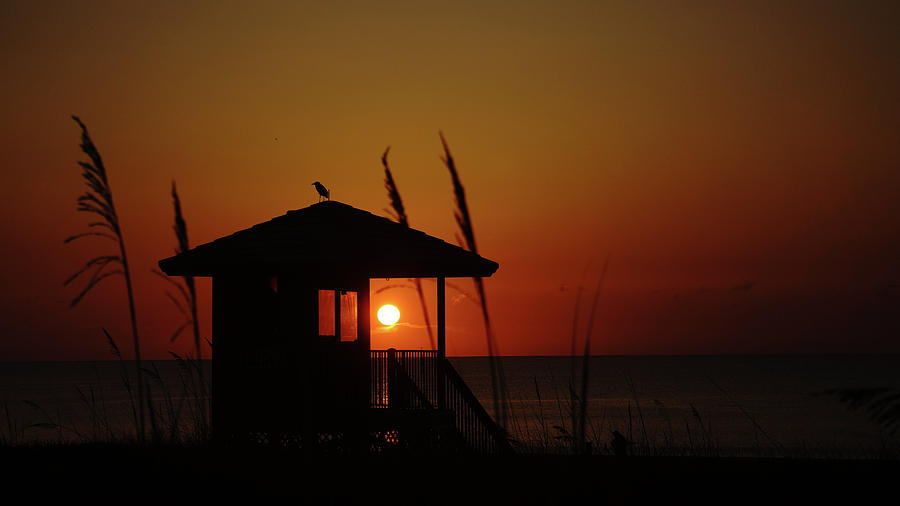 Sea Oat Sunrise Delray Beach Florida Photograph by Lawrence S Richardson Jr