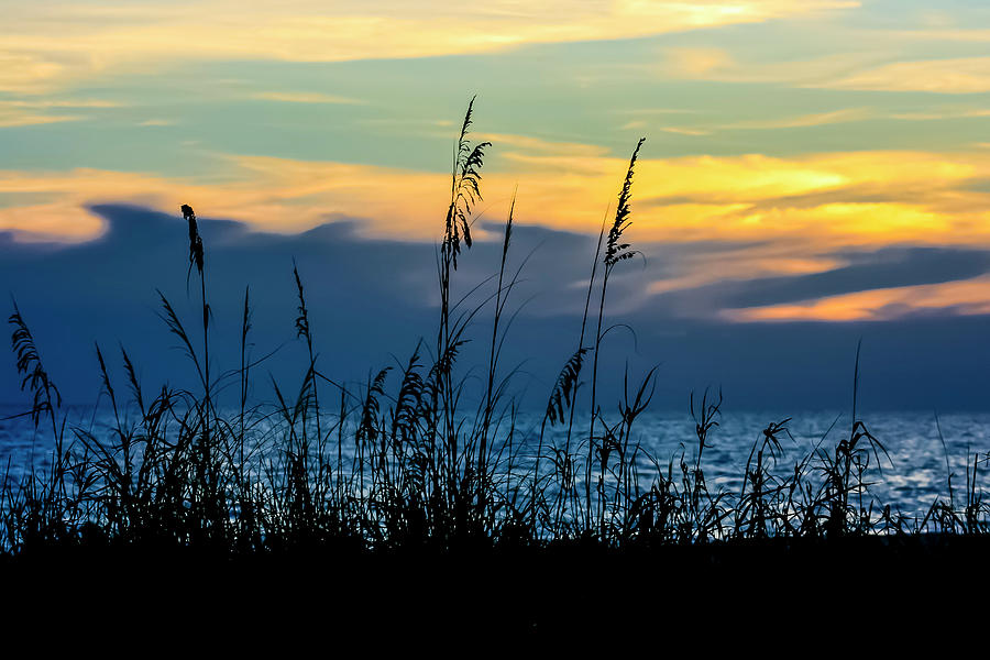 Sea oat Sunset Photograph by Robert Wilder Jr