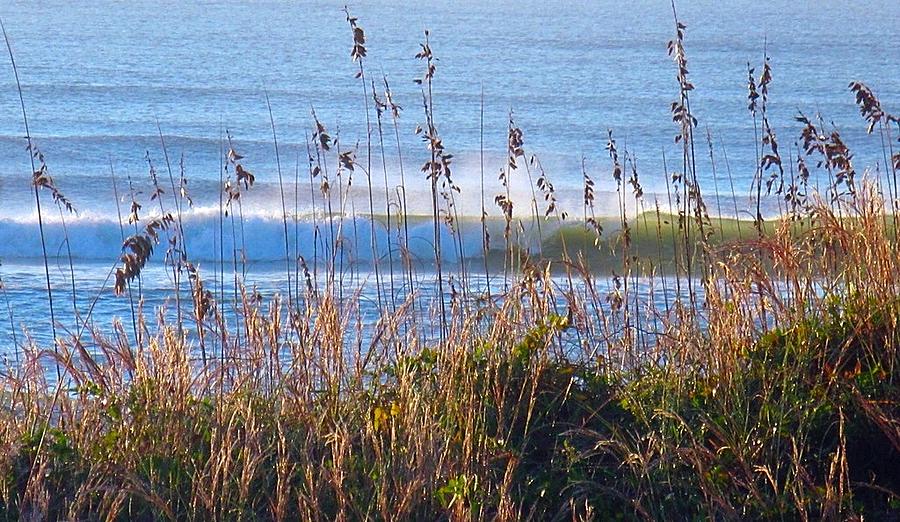 Sea Oats and Spray Photograph by Betty Buller Whitehead