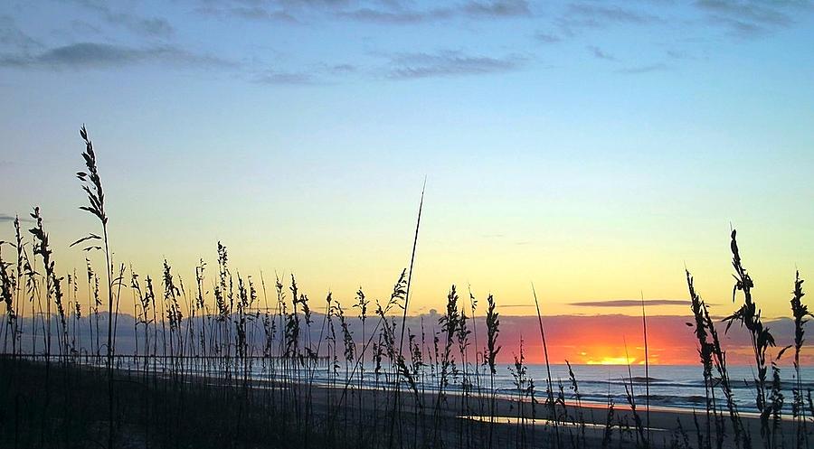 Sea Oats and Sunrise Photograph by Betty Buller Whitehead