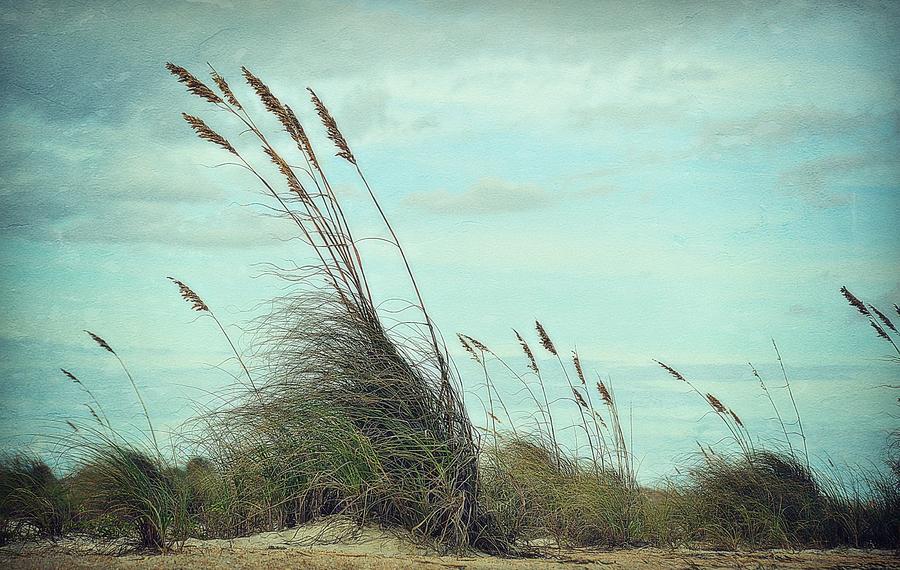 Beach Photograph - Sea Oats In The Breeze by Toni Abdnour