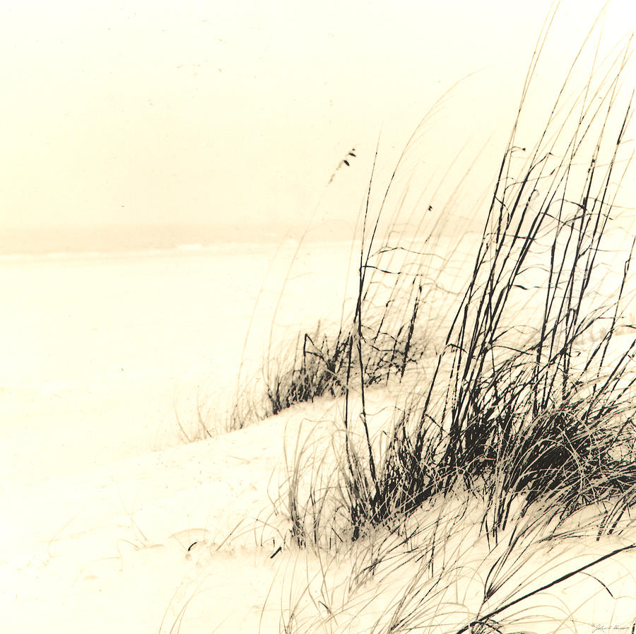 Sea Oats in the Dunes at the Beach Photograph by John Harmon