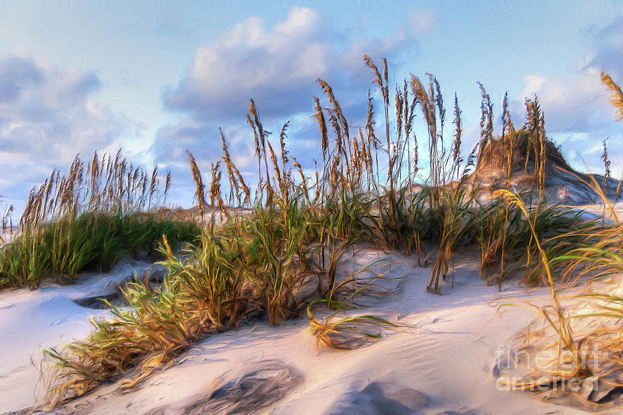 Sea Oats On Outer Banks Sand Dunes Ap Painting by Dan Carmichael