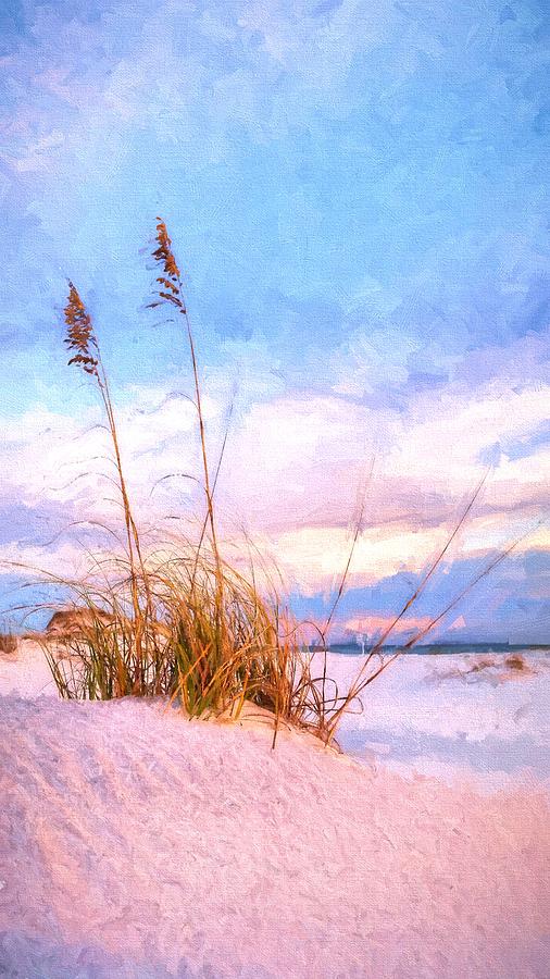 Sea Oats on the Island Photograph by JC Findley