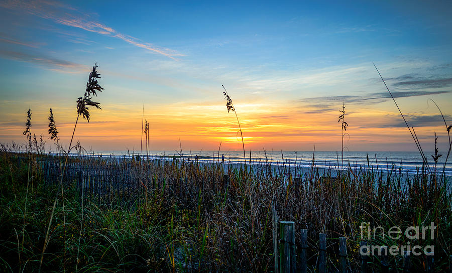 Sea Oats Sunrise Photograph by David Smith