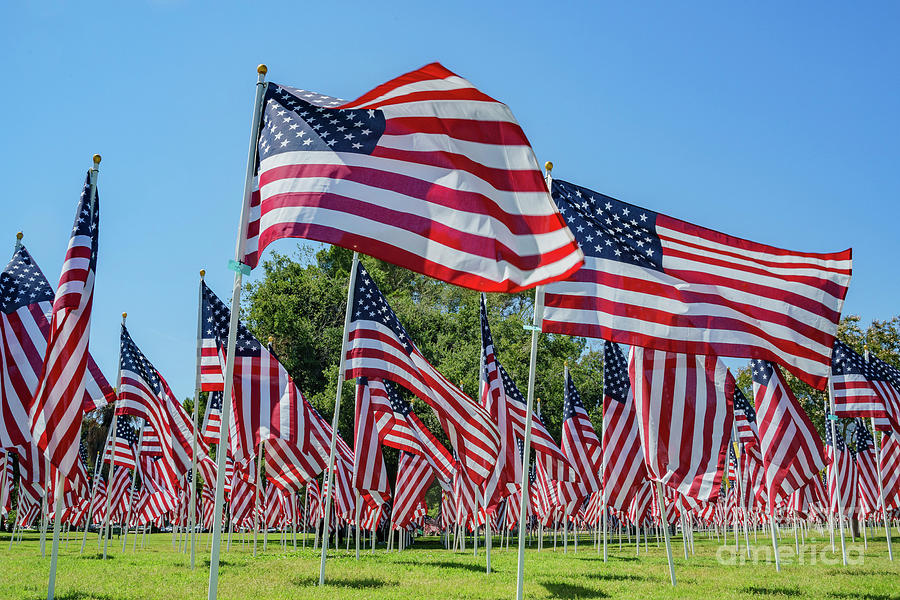 Sea of America Flags Photograph by Chon Kit Leong - Fine Art America