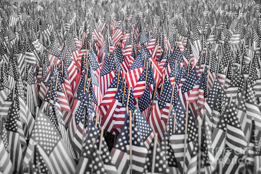 Sea of American flags Photograph by Paul Quinn | Pixels