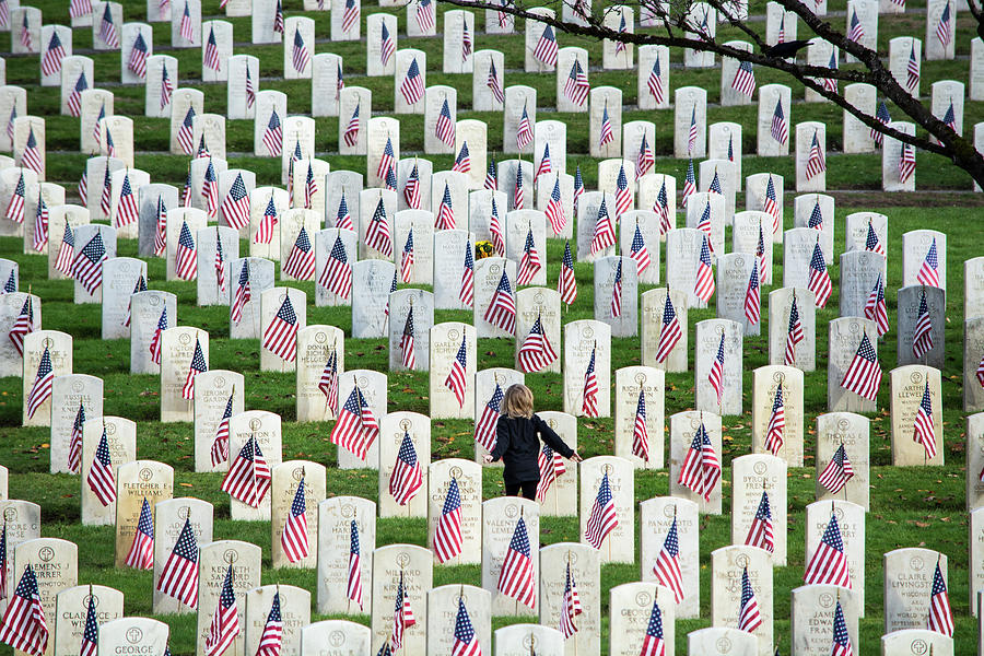 Sea of Flags Photograph by Robert Briggs - Pixels