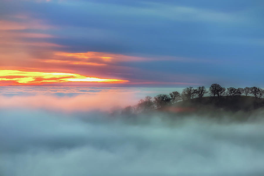 Sea of Fog Photograph by Marc Crumpler