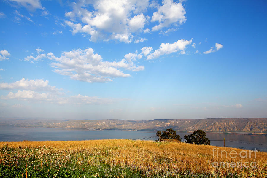 Sea of Galilee landscape  Photograph by Gal Eitan