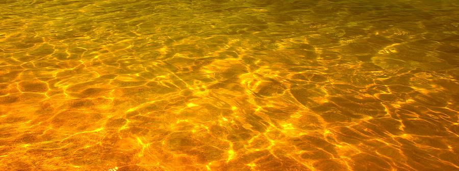 Abstract Photograph - Sea of Gold by Steven Robiner
