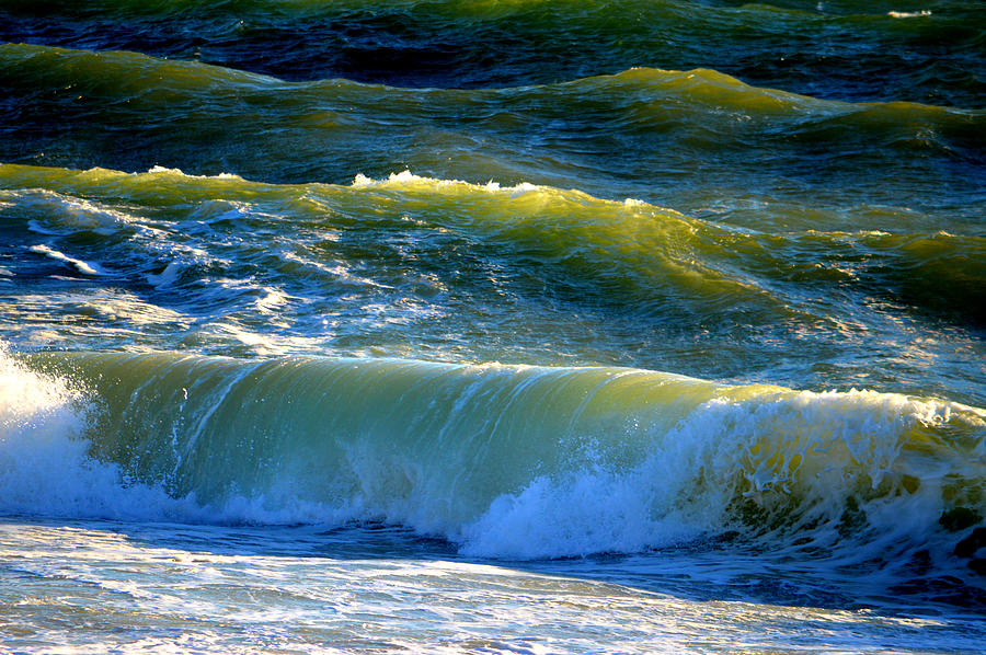 Sea of Green Photograph by Dianne Cowen Cape Cod and Ocean Photography ...