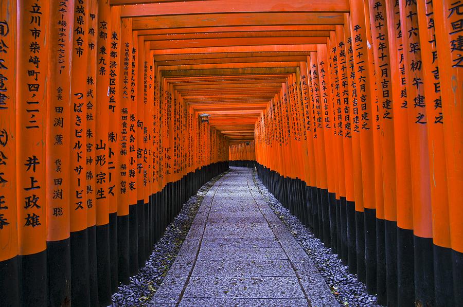 Sea of Orange Shrines Photograph by Brian Kamprath