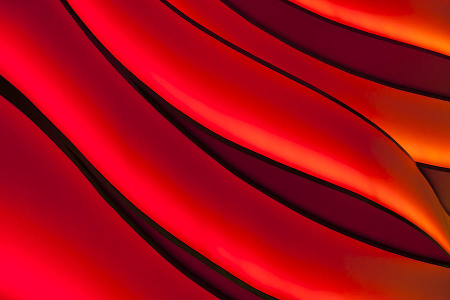 Abstract Photograph - Sea of Red by Janet Fikar