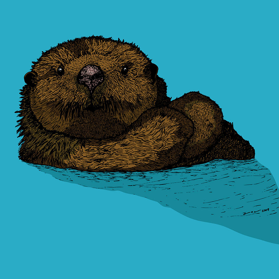 Sea Otter Full Color Drawing by Karl Addison