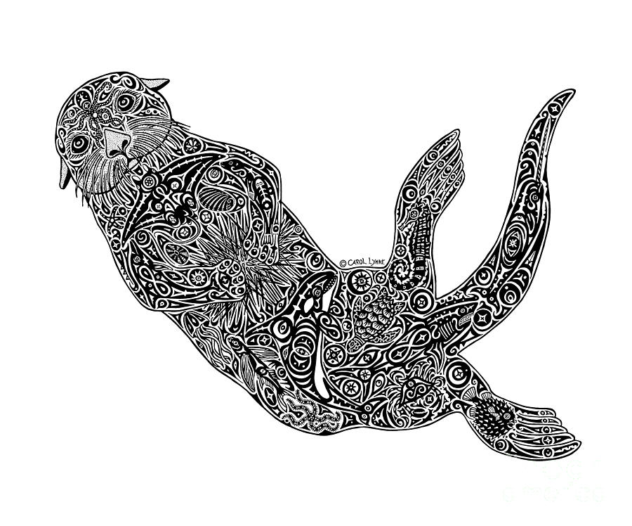 sea otter drawing by carol lynne sea otter by carol lynne