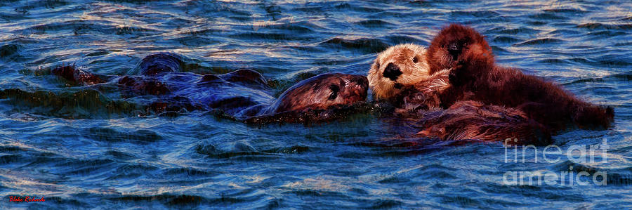 Sea Otter Family Photograph by Blake Richards