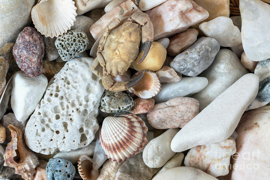 Sea Pebbles Photograph by Michal Boubin