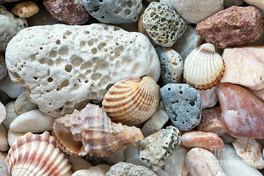 Sea Pebbles On The Beach Photograph by Michal Boubin