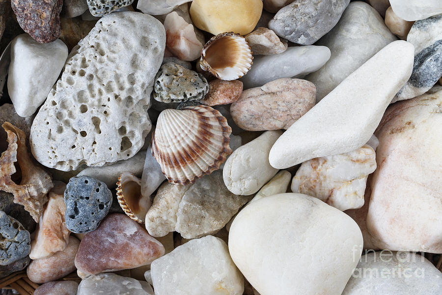 Sea Pebbles With Shells Photograph by Michal Boubin