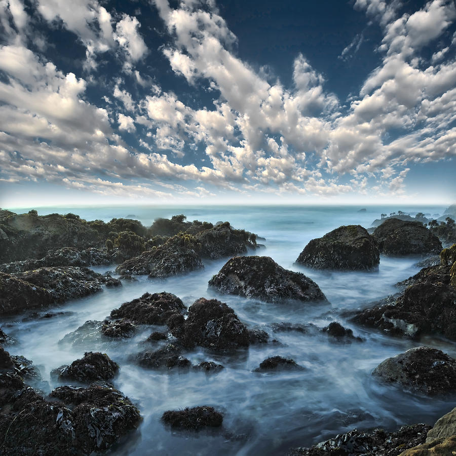 Sea Rocks Photograph by Evan Sharboneau
