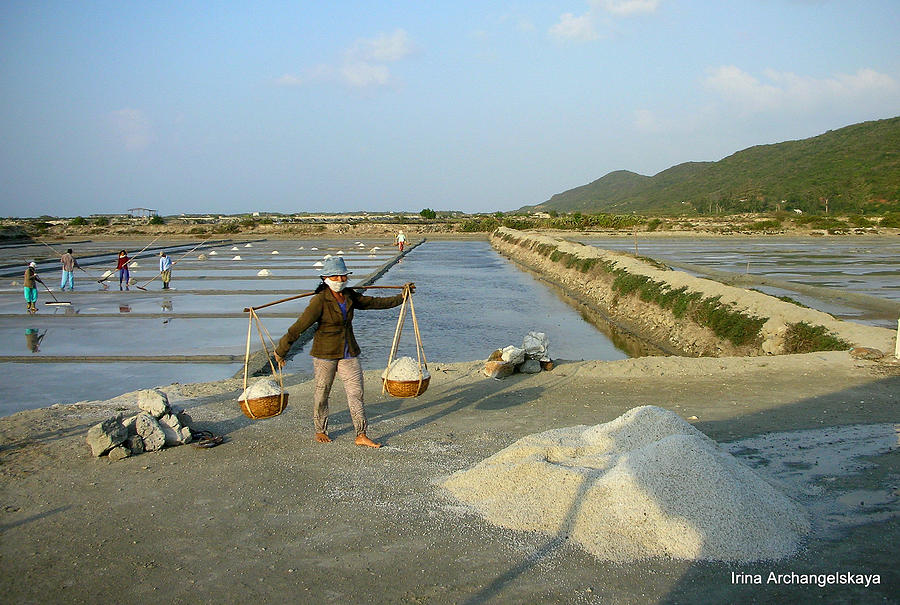 Sea Salt Harvesting in Vietnam  Photograph by Irina ArchAngelSkaya