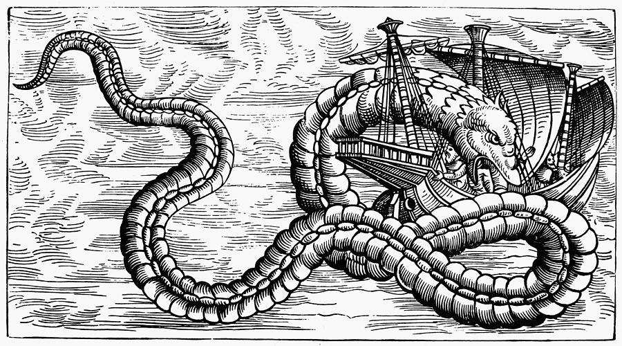 Sea Serpent, 1555 Photograph by Granger